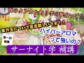 【ポケカ】第一回居残り授業！！もっと深く知りたい事、サーナイト学補講で語っていきます/サーナイト学補講 【解説動画】