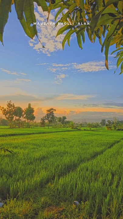 Story wa  sholawat Hadroh kece