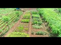 Organic farm nitral nisarga biotech india