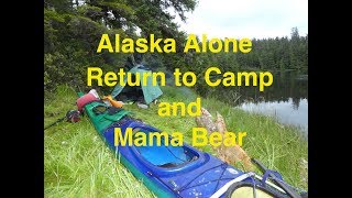 Alaska Alone Return to Camp and Mama Bear (part 12)
