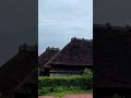 Quiet Rain LoFi ☔🏯 Japanese Samurai Residence Ambience | #Shorts