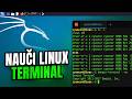 Nauči linux terminal (Kali linux)