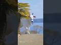 jay gaumata #cow #ytshorts gaumata