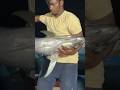 Ohh❗Indian Fishing adventure 💢 Tuna Fish Catches
