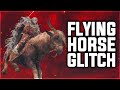Elden Ring - HOW TO FLY GLITCH!