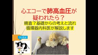 心エコーで肺高血圧が疑われたら？(基礎からの考えと流れを循環器内科医が解説します)