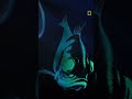 New Series Beneath The Waves National Geographic MENA