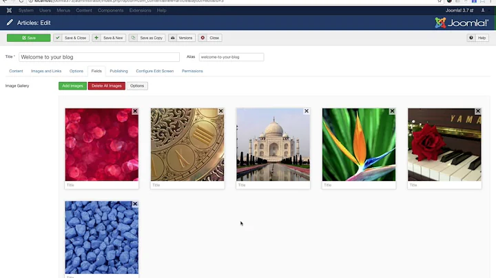 Showtime Image Gallery - Joomla! 3.7 Custom Fields