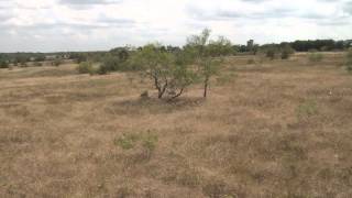 For Sale: 20.2 Acres in Eddy (Waco), TX.