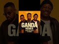UDA CRAZY MZEE WA BWAX X D VOICE GANDA REMIX OFFICIAL AUDIO