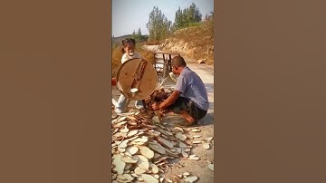 Thumbnail of creative tool for thinly slicing cassava #shorts