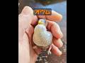 オウムは言葉を覚えるのだろうか? #自然 #動物プロダクション #動物 #animals #癒し