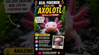 Pokémon fans ye short miss mat karo
