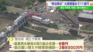 明治用水の大規模漏水対応で11億円…大村知事「国に全額を求める」 愛知県が補正予算案を6月議会に提出へ(2022/6/1)