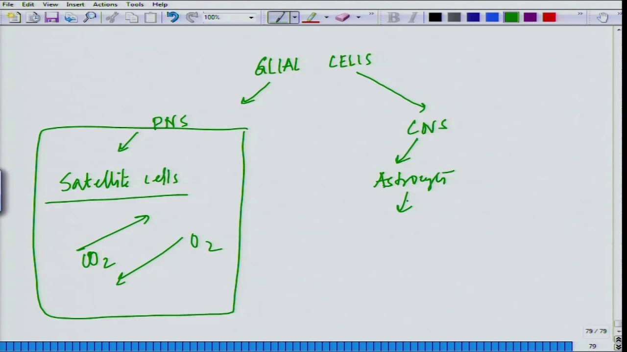 Mod-01 Lec-11 Animal Physiology