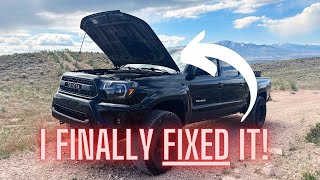 Reviving My Tacoma's Look! Fixing My Faded Hood A DIY Project!