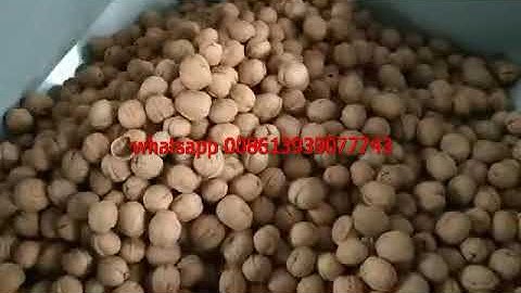 China production line automatic walnut processing equipment walnut shelling processing machine