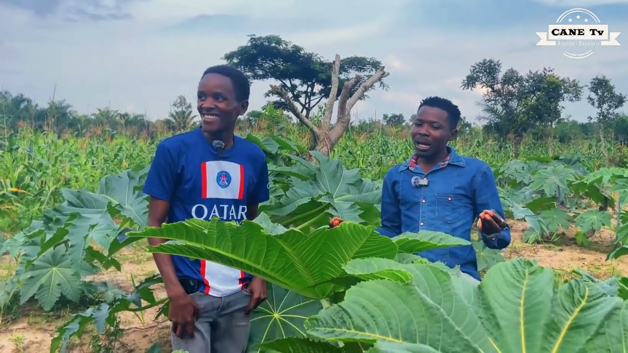 IGITERWA KIRIKO KIRATUNGISHA BENSHI MUBURUNDI
