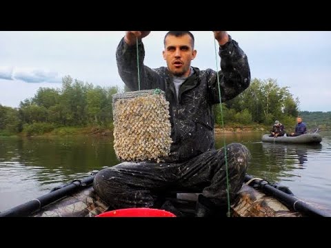 Видео: рыбалка на кольцо с лодки на реке Чулым