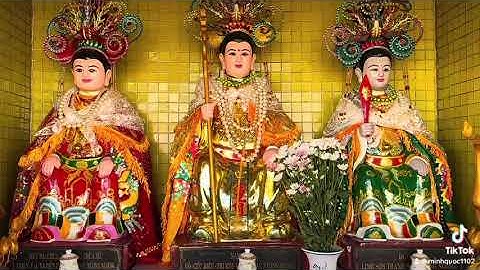 Điện cây Quế núi cấm an Giang