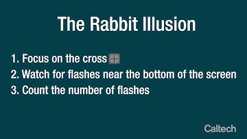 The Rabbit Illusion