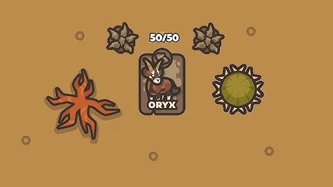 50/50 Oryx taming io