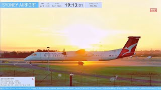 🔴 Plane Spotting til curfew from Shep's Mound @ Sydney Airport - The evening haul w/Kurt + ATC!🔴