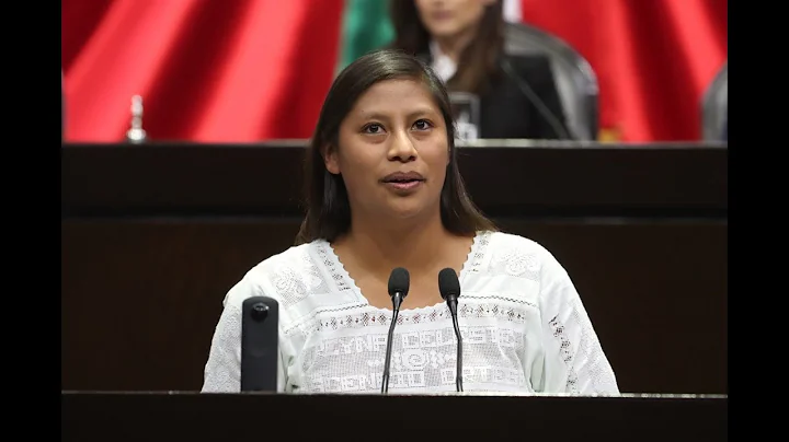 Dip. Reyna Ascencio - (Morena) - Parlamento Juveni...