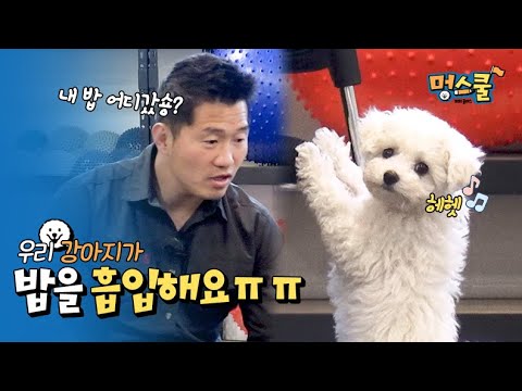 My dog inhales the feed. lol (feeds are gone) │Kang trainer&rsquo;s Mung school beginner owner
