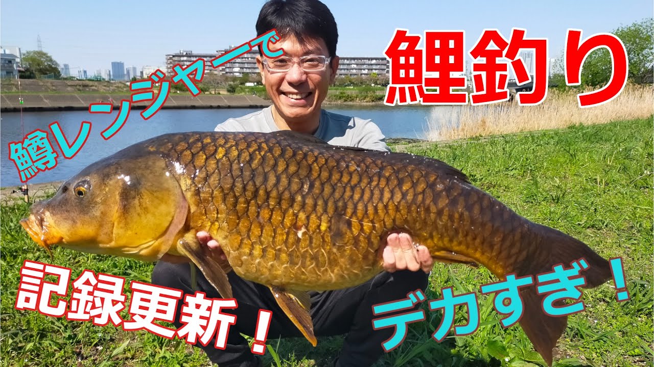 鯉釣り】96cm自己記録の巨鯉！【鱒レンジャー】 - YouTube