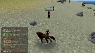 Hack Level en RegnumOnline