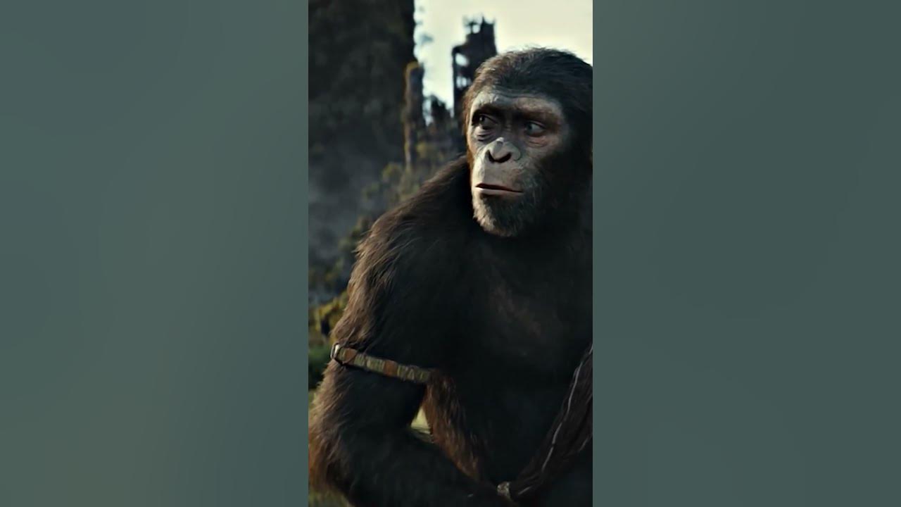 Планета обезьян: Новое царство (2024) #shorts #shortsvideo #обзор # ...