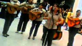 suspiro acustico pecu