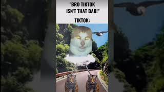 Tik Tok is a horrible place Resimi