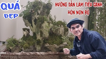 Hướng dẫn làm tiểu cảnh hòn non bộ sân vườn