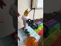 Marble Run Race ☆ 5-color racing course Fun #1
