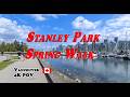 🌹 Vancouver Downtown to Stanley Park Spring Walk 2026 · Rose Garden, Seawall &amp; Forest | 4K POV