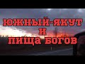 Фестиваль вкуса и карнавал мяса.