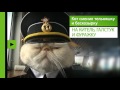 В мире людей: кот Матрос несёт вахту на российском теплоходе