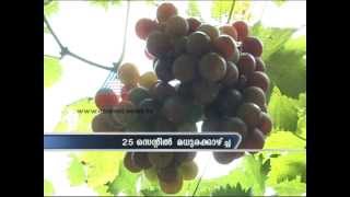 Thiruvananthapuram native abdul kalam's grape farm in nedumangad