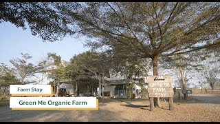 Farm Stay @Green Me ที่พักเขาใหญ่ Vibe ดี อบอุ่นเหมือนอยู่บ้าน