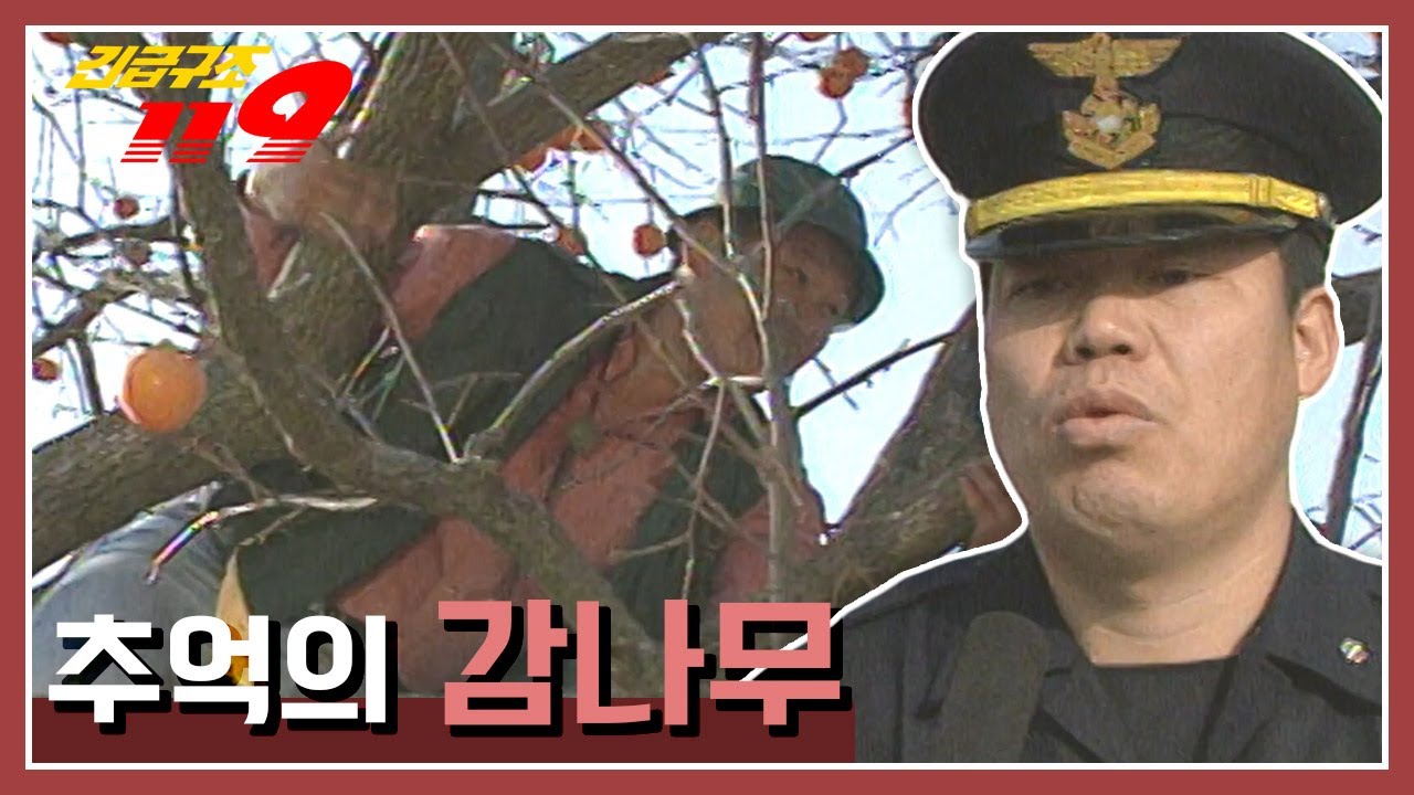 [긴급구조 119] 추억의 감나무 KBS 941122 방송