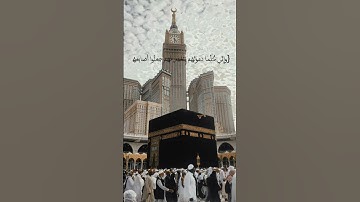 اكتب شي توجر عليها مقطع قصير قران {قَالَ رَبِّ إِنِّي دَعَوْتُ قَوْمِي لَيْلا وَنَهَارًا} سورة نوح