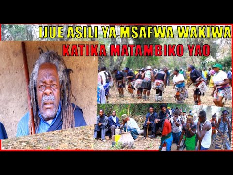 Video: Houttuynia. Upinde Wa Mvua Katika Bustani Yako