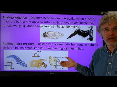 Video: Wat zijn gebruikersonderzoeksmethoden?