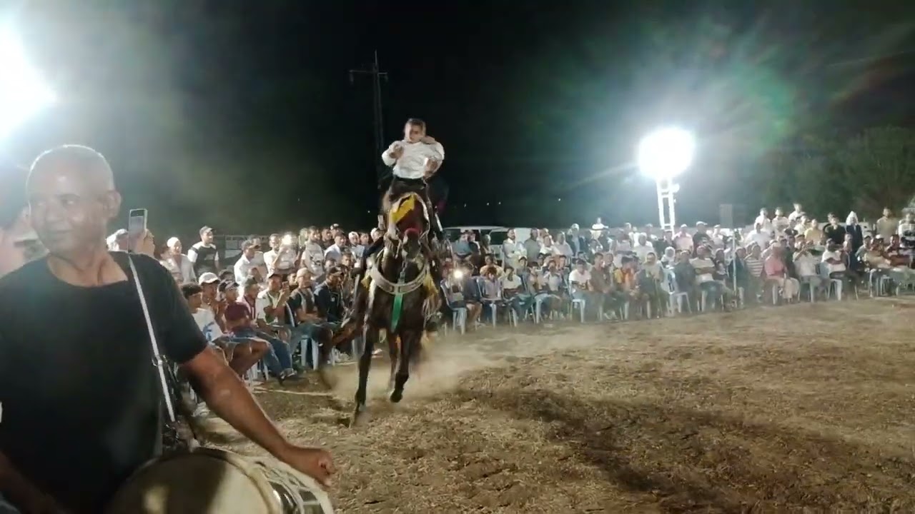 فرسان القيروان السبيخة :☎️📞22234326☎️📞 وديما الشاب جمال الوسلاتي :  ☎️📞55855693☎️📞