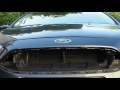 Ford Focus Grill