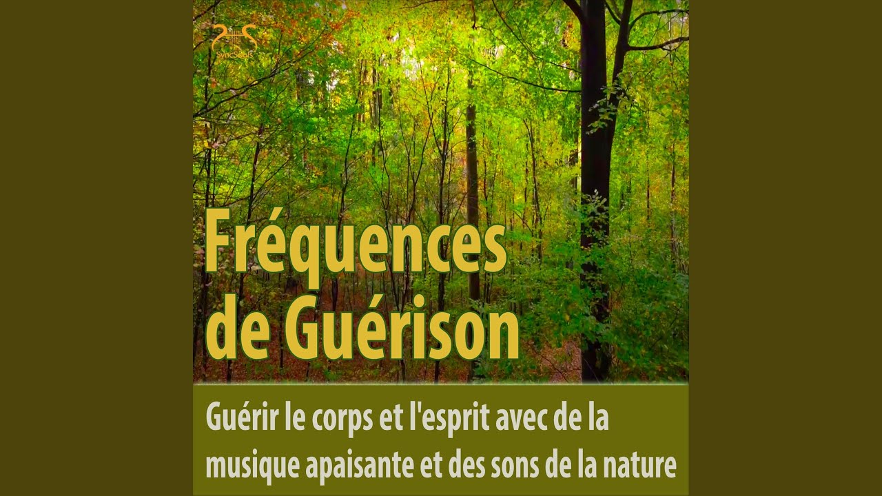 Frequences De Guerison Musique Apaisante 432 Hz Et Sons De La Nature Youtube Frequences De Guerison Musique Apaisante 432 Hz Et Sons De La Nature Youtube