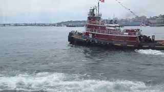 Tug Boat Race Ms Regatta Portland Maine August 2013