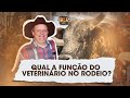 QUAL A FUNÇÃO DO VETERINÁRIO NO RODEIO?